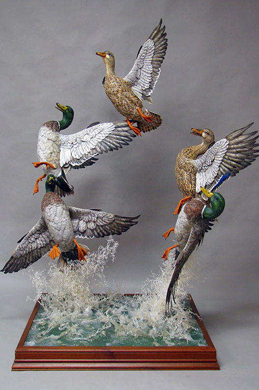 Mallard Rise